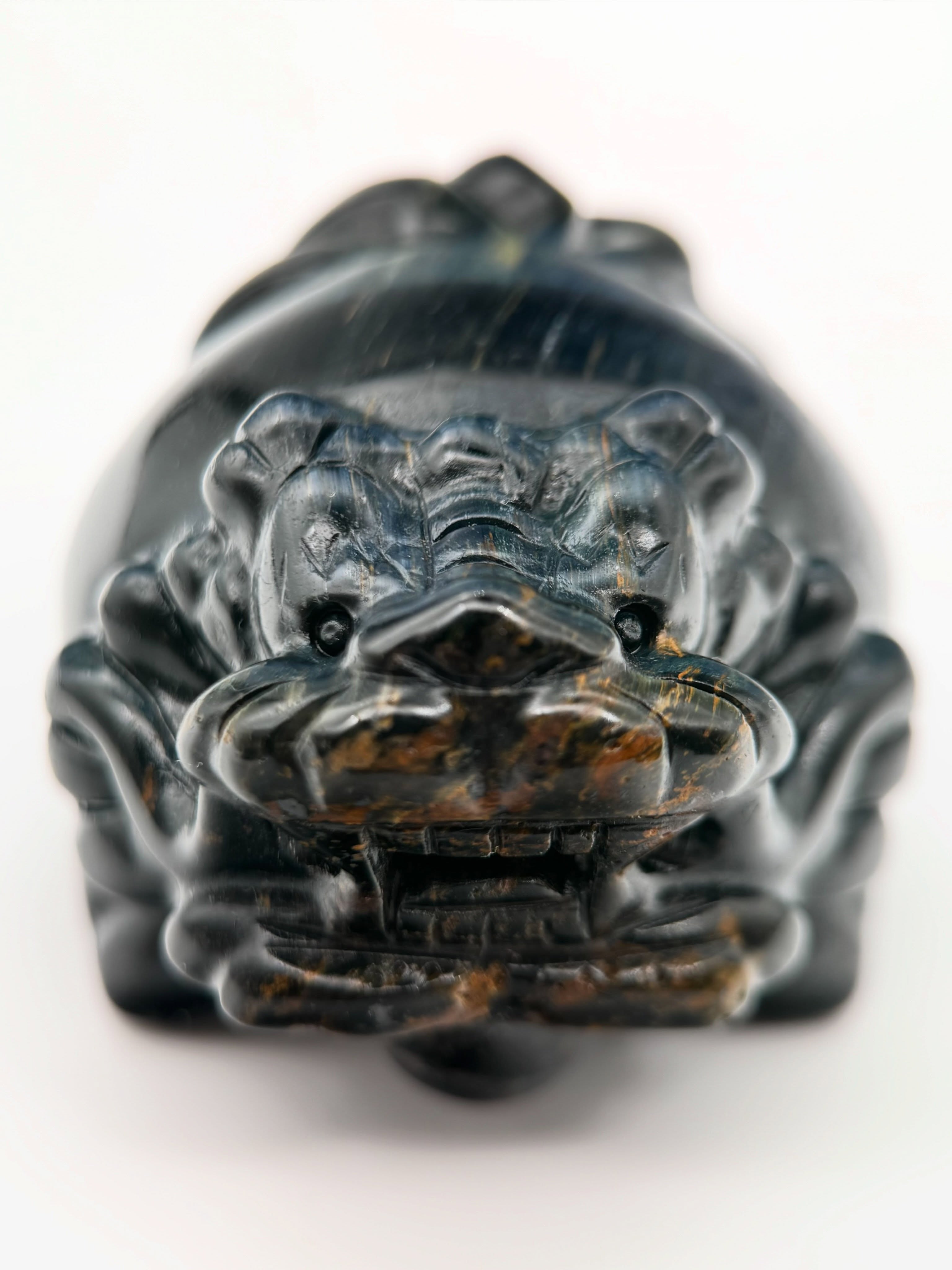 藍虎眼龍龜 No.009