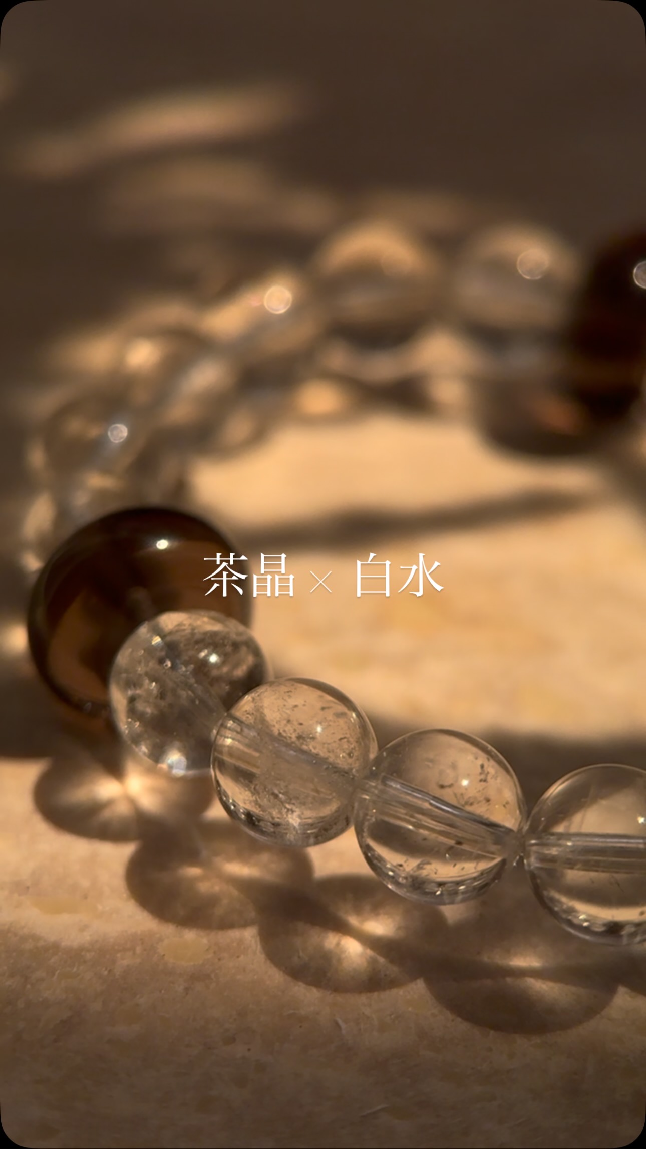 茶晶 × 白水